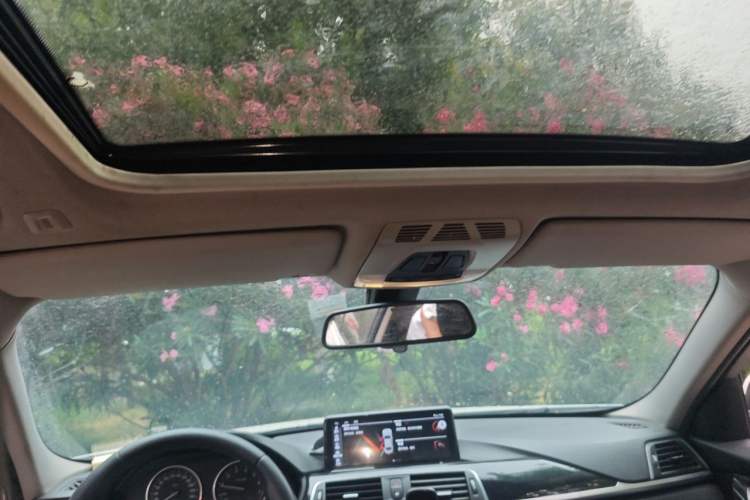 Used BMW 3 Series 2016 316Li Fashion Model Headliner