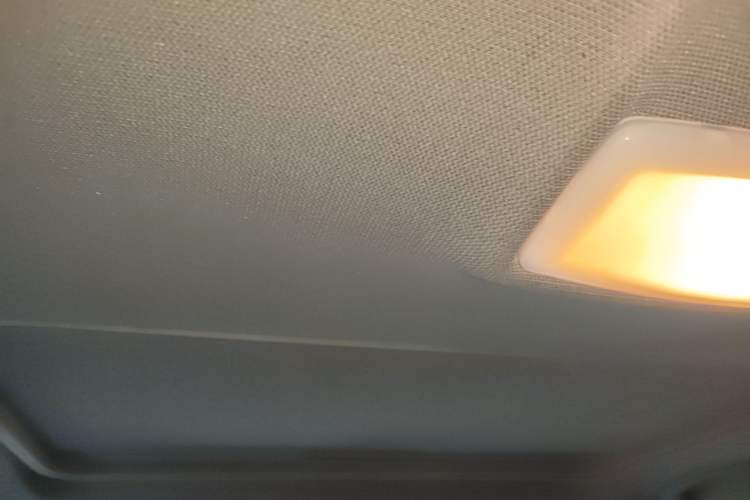 Used BMW 3 Series 2016 320i Fashion Model Headliner