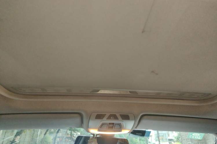 Used BMW 3 Series 2016 316i Fashion Model Headliner