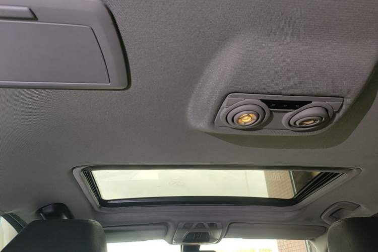 Used BMW 3 Series 2016 320Li Ambition Model Headliner