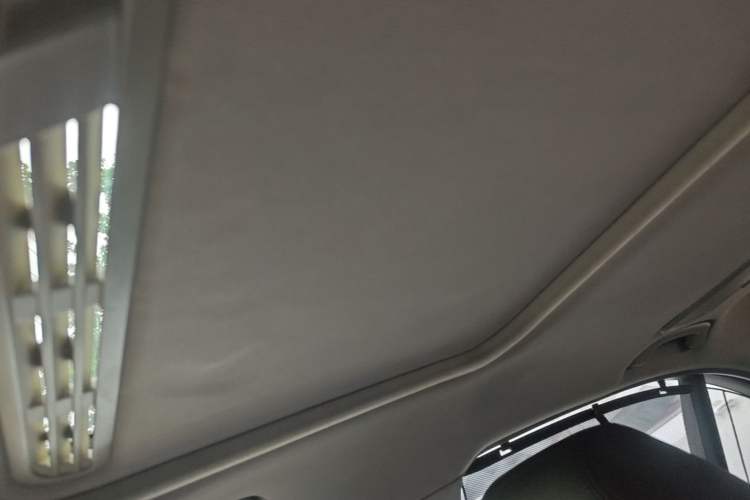 Used BMW 3 Series 2016 320Li Ambition Model Headliner