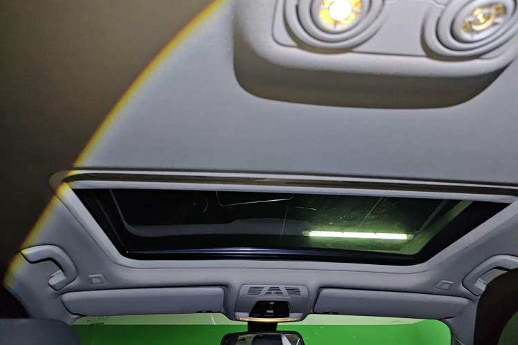 Used BMW 3 Series 2016 320Li Ambition Model Headliner