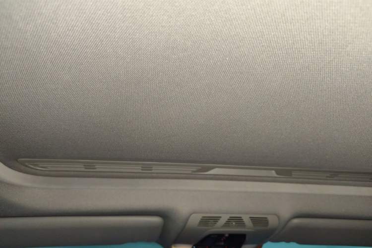 Used BMW 3 Series 2016 320Li Ambition Model Headliner