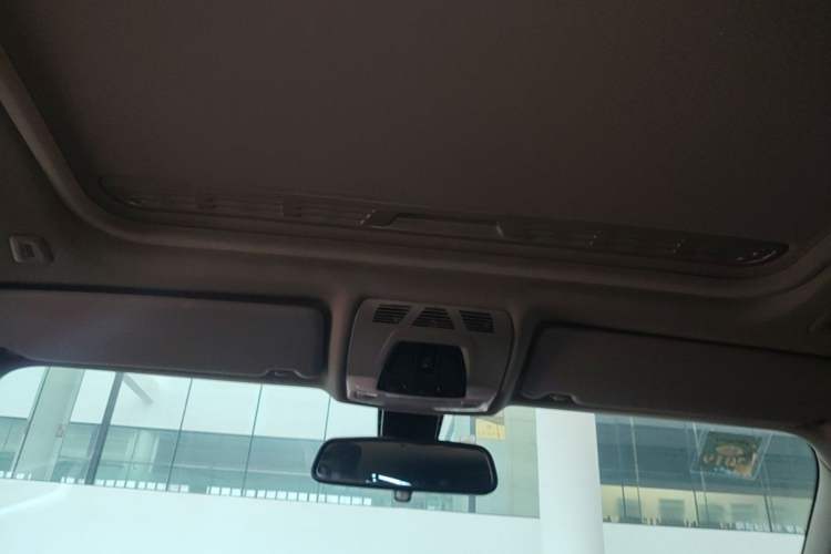 Used BMW 3 Series 2016 320Li Ambition Model Headliner