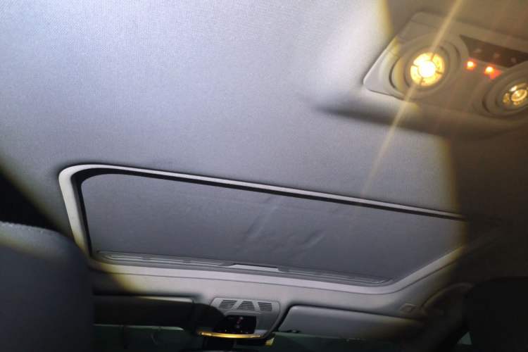 Used BMW 3 Series 2016 320Li Ambition Model Headliner