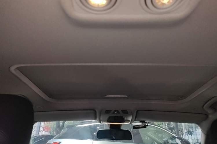 Used BMW 3 Series 2016 320Li Ambition Model Headliner