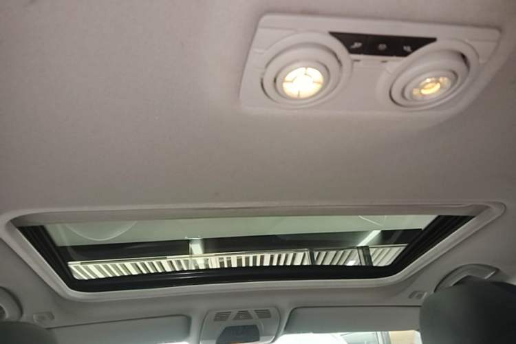 Used BMW 3 Series 2016 320Li Ambition Model Headliner
