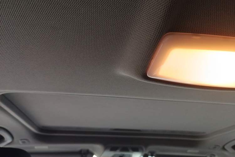 Used BMW 3 Series 2016 316i Fashion Model Headliner