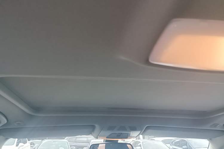 Used BMW 3 Series 2016 320i Fashion Model Headliner