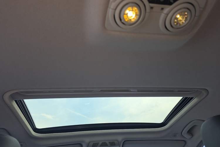 Used BMW 3 Series 2016 320Li Ambition Model Headliner