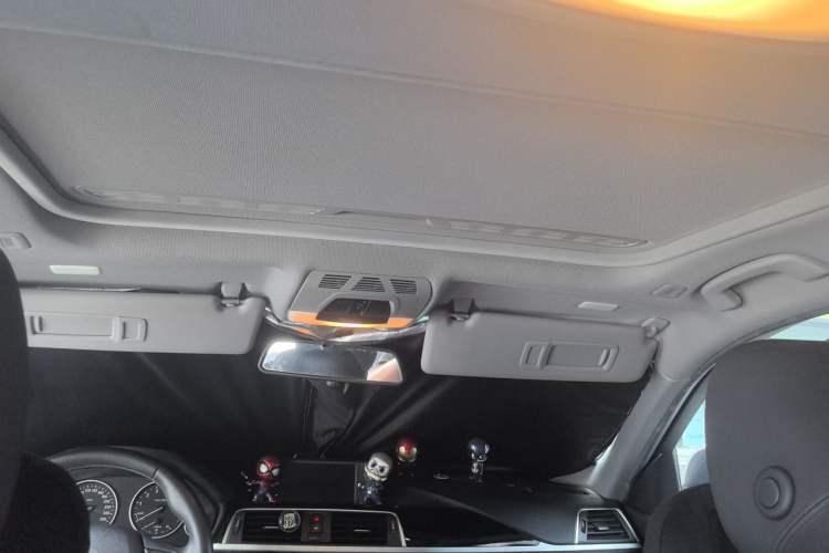 Used BMW 3 Series 2016 316i Fashion Model Headliner