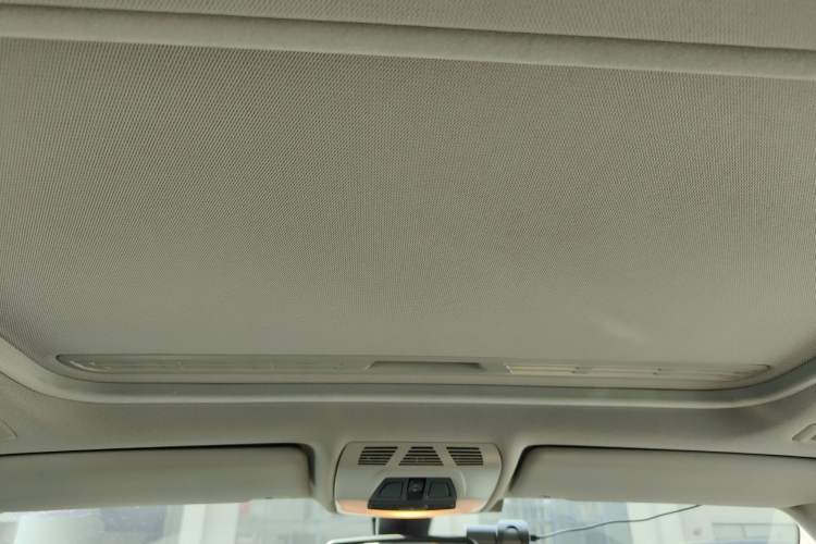 Used BMW 3 Series 2016 316i Fashion Model Headliner