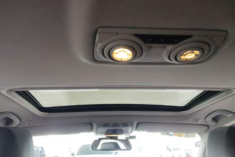 Used BMW 3 Series 2016 320Li Ambition Model Headliner