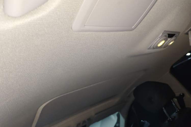 Used BMW 3 Series 2016 320Li Ambition Model Headliner