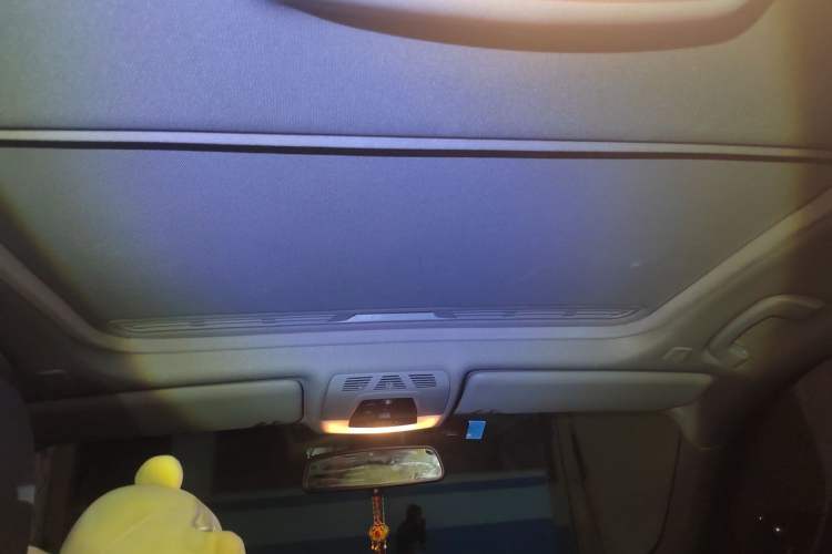 Used BMW 3 Series 2016 320i Fashion Model Headliner