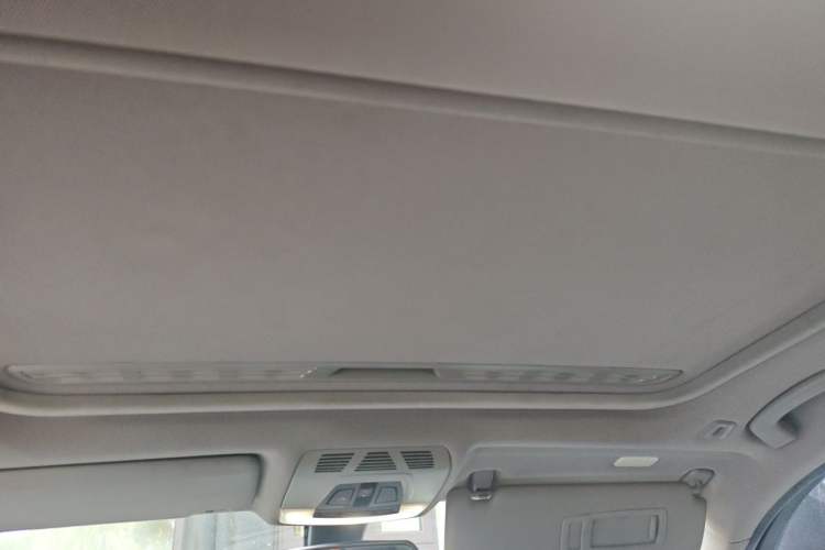 Used BMW 3 Series 2016 320i Fashion Model Headliner