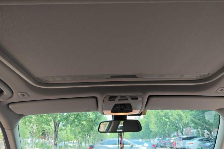 Used BMW 3 Series 2016 320i Fashion Model Headliner