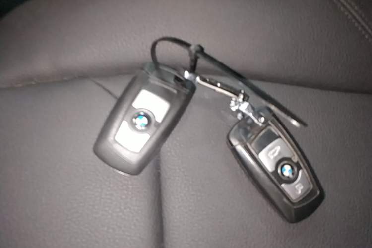 Used BMW 3 Series 2016 320Li Ambition Model Interior 1