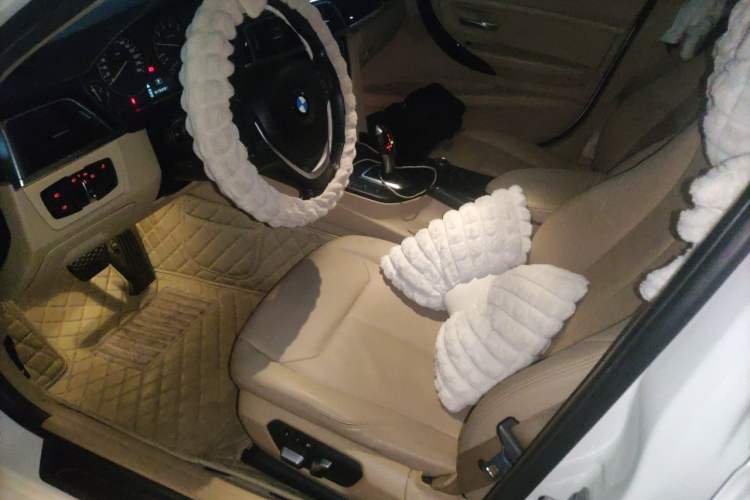 Used BMW 3 Series 2016 320Li Ambition Model Left Front Seat