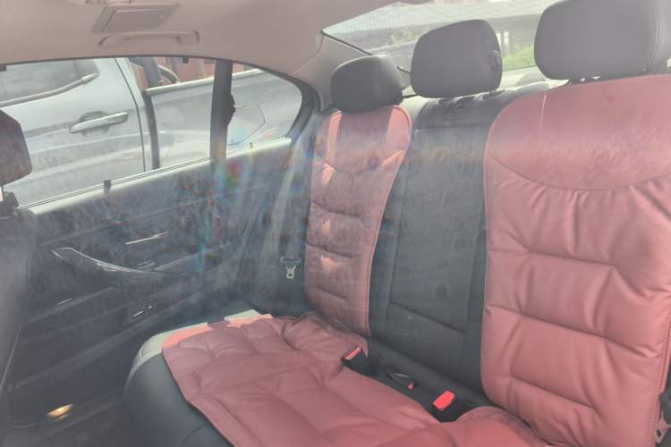 Used BMW 3 Series 2016 320Li Ambition Model Left Rear Seat
