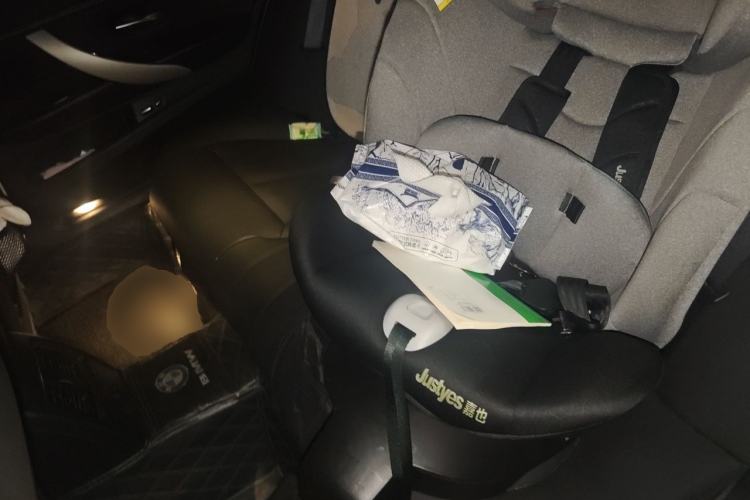 Used BMW 3 Series 2016 320Li Ambition Model Left Rear Seat