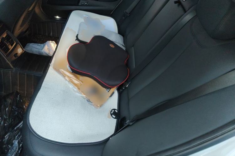 Used BMW 3 Series 2016 316Li Fashion Model Left Rear Seat