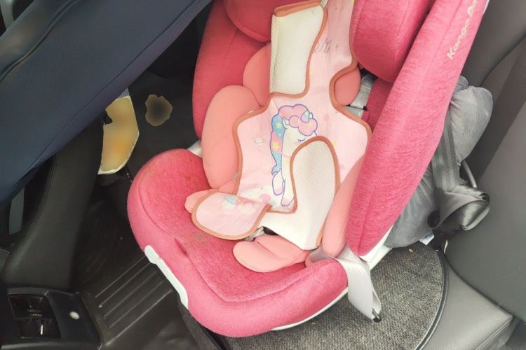 Used BMW 3 Series 2016 320Li Ambition Model Left Rear Seat