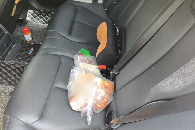 Used BMW 3 Series 2016 320Li Fashion Model Left Rear Seat