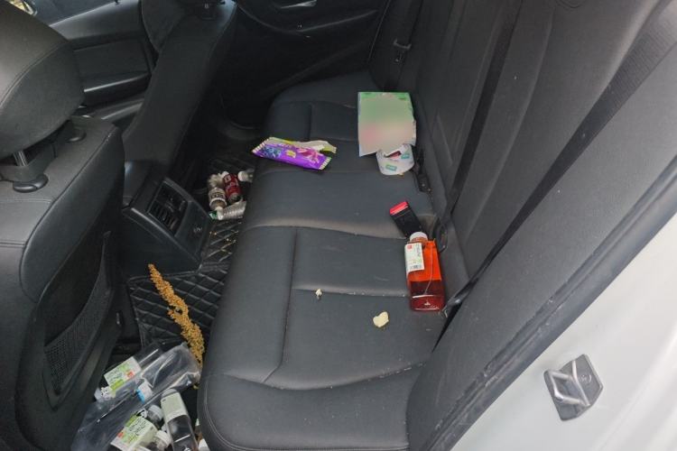 Used BMW 3 Series 2016 320i Fashion Model Left Rear Seat