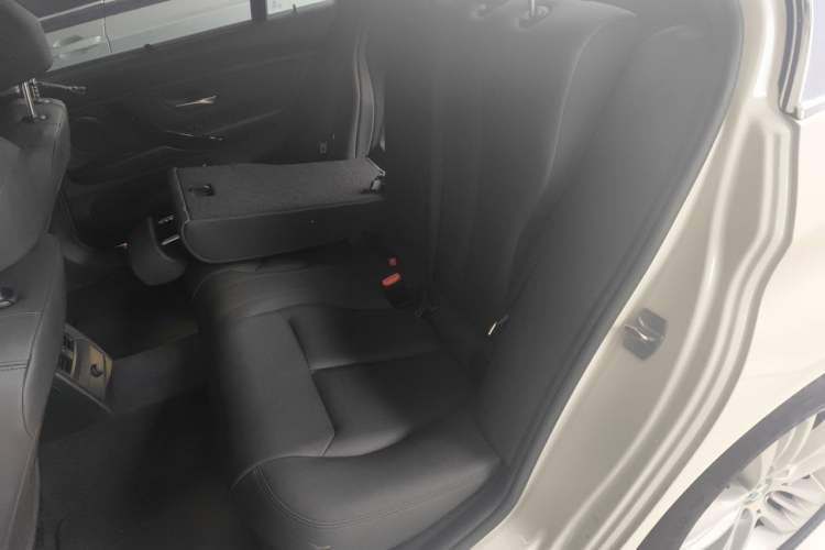Used BMW 3 Series 2016 320Li Ambition Model Left Rear Seat