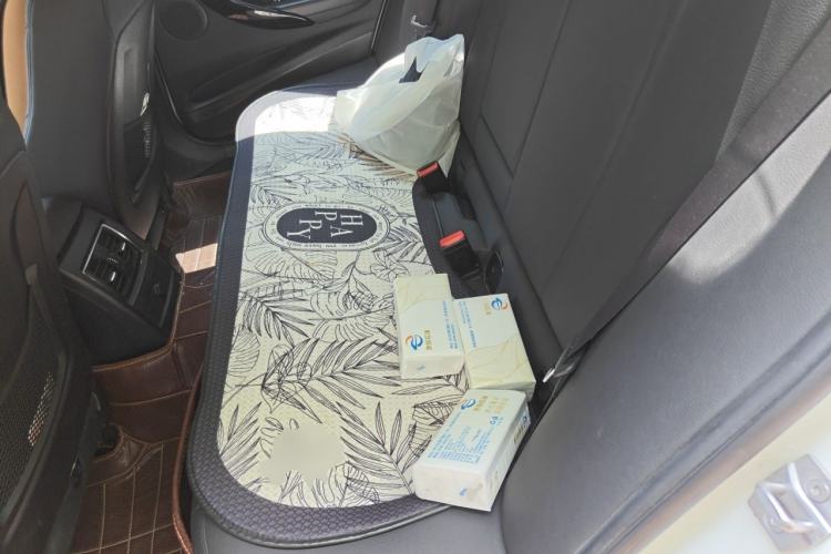 Used BMW 3 Series 2016 320i Fashion Model Left Rear Seat