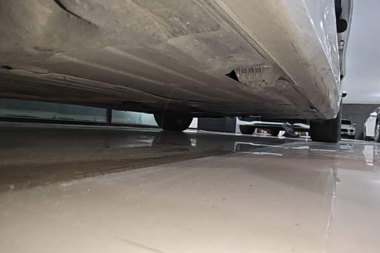 Used BMW 3 Series 2016 320Li Fashion Model Left Side Sill