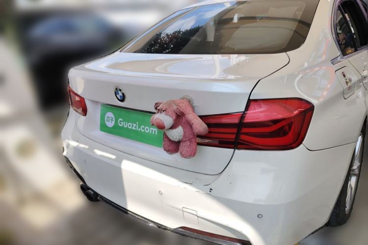 Used BMW 3 Series 2016 320Li Ambition Model Rear