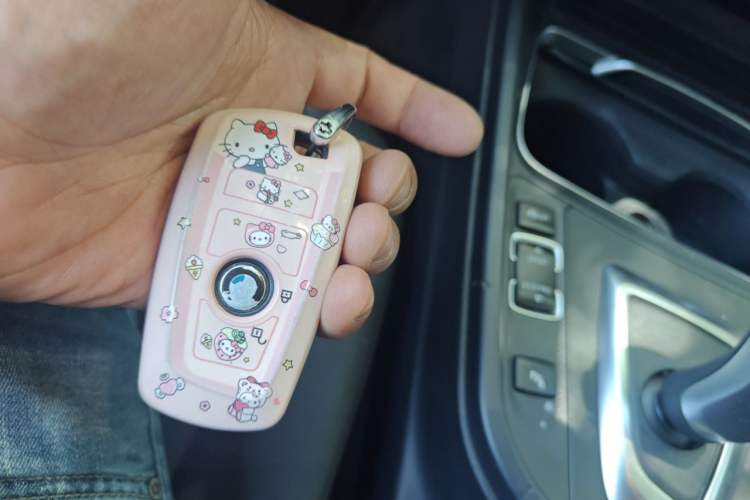 Used BMW 3 Series 2016 316Li Fashion Model Vehicle Key
