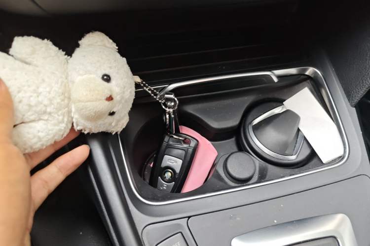 Used BMW 3 Series 2016 316i Fashion Model Vehicle Key