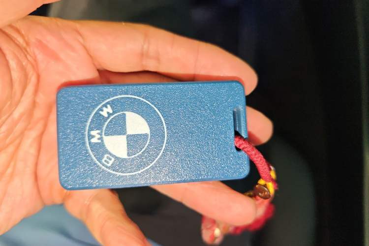 Used BMW 3 Series 2016 316i Fashion Model Vehicle Key