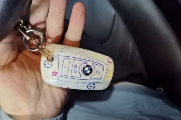 Used BMW 3 Series 2016 320Li Fashion Model Vehicle Key