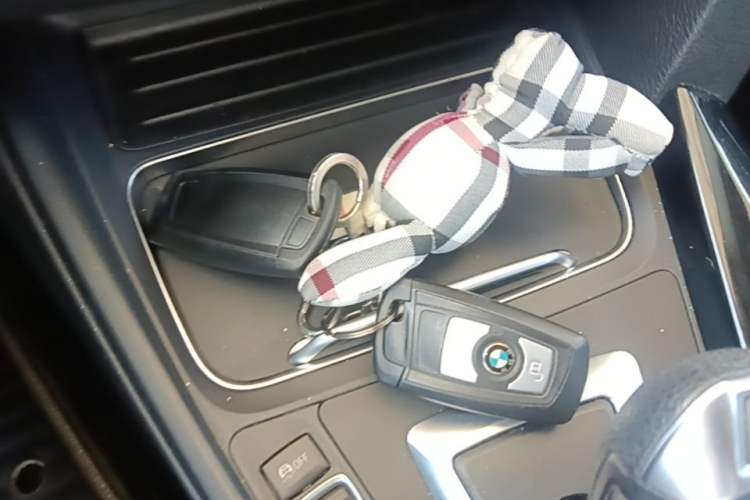 Used BMW 3 Series 2016 320Li Ambition Model Vehicle Key