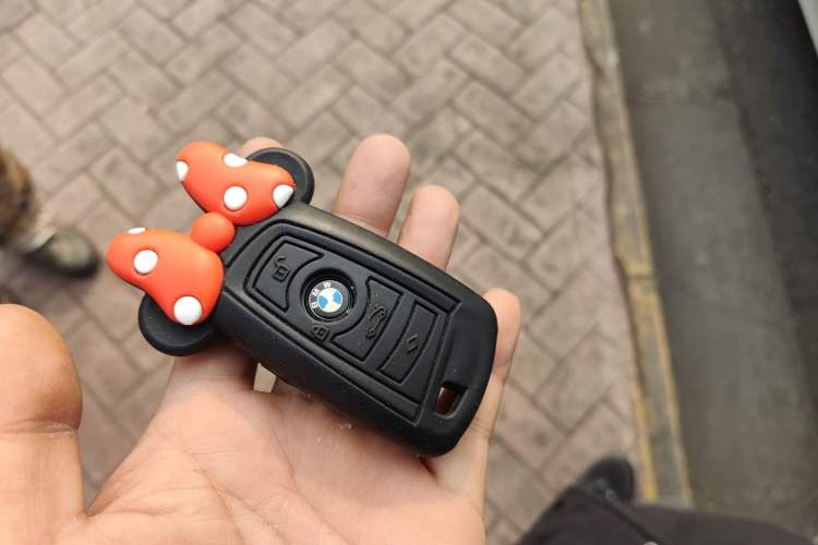 Used BMW 3 Series 2016 316i Fashion Model Vehicle Key