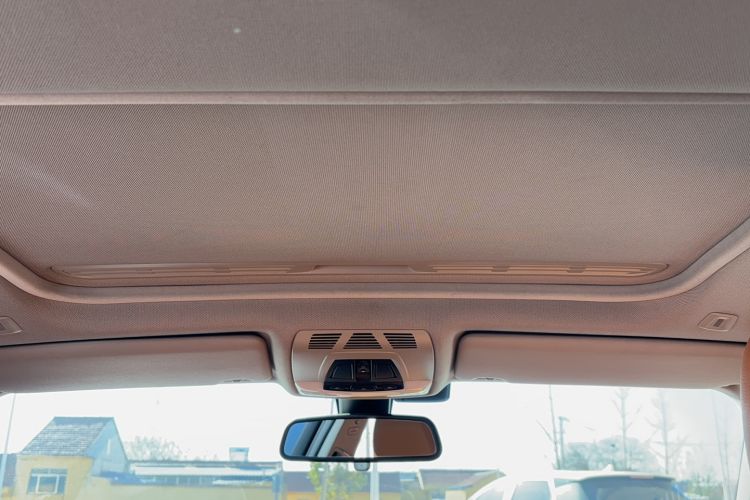 Used BMW 3 Series 2016 320Li Ambition Model Headliner