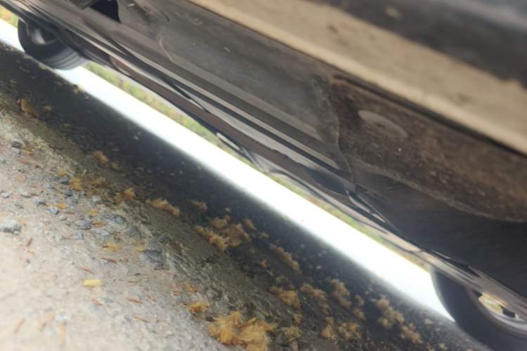Used BMW 3 Series 2017 320Li Fashion Model Chassis Front Right