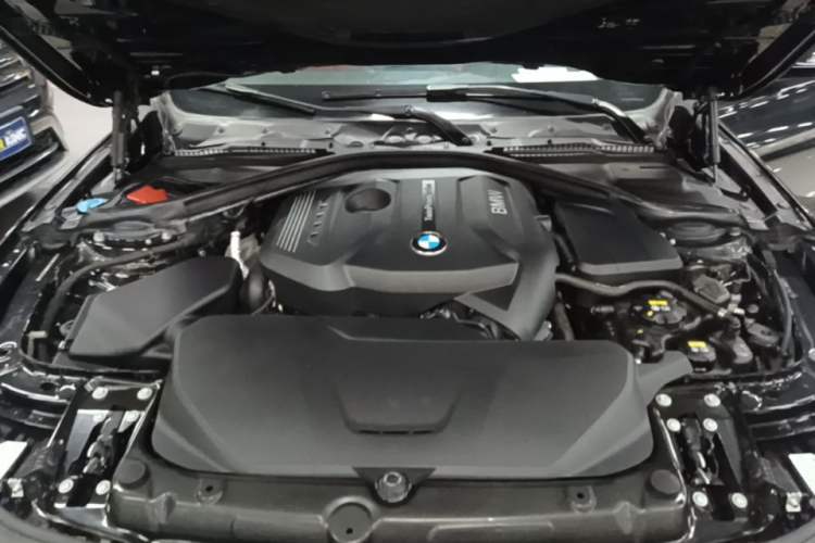 Used BMW 3 Series 2017 320Li M Sport Edition Engine Bay