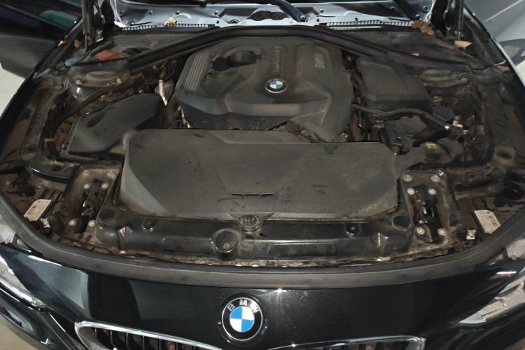 Used BMW 3 Series 2017 320Li M Sport Edition Engine Bay