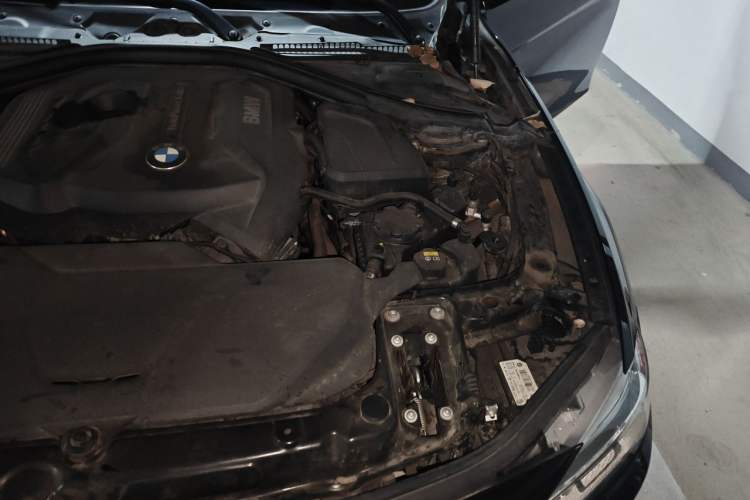 Used BMW 3 Series 2017 320Li M Sport Edition Engine Bay Left