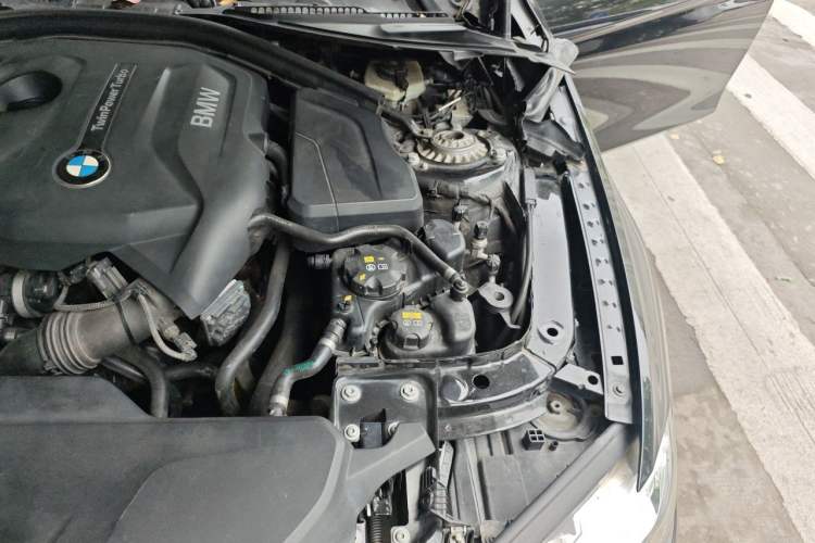 Used BMW 3 Series 2017 320Li Fashion Model Engine Bay Left