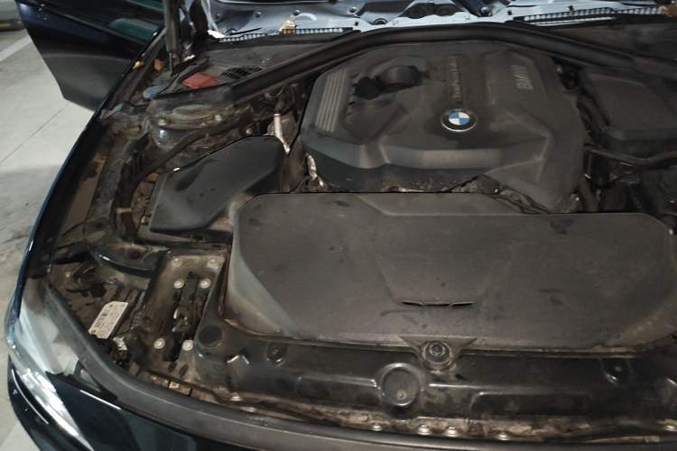 Used BMW 3 Series 2017 320Li M Sport Edition Engine Bay Right