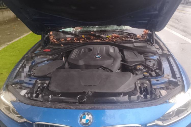 Used BMW 3 Series 2017 320Li M Sport Edition Engine Bay