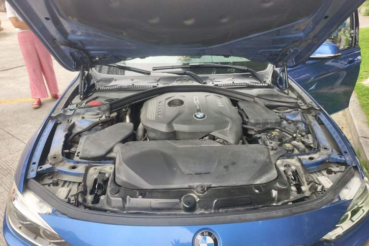 Used BMW 3 Series 2017 320Li M Sport Edition Engine Bay
