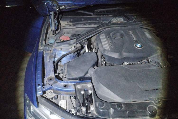 Used BMW 3 Series 2017 320Li M Sport Edition Engine Bay Right