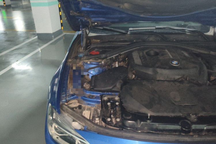 Used BMW 3 Series 2017 320i M Sport Engine Bay Right